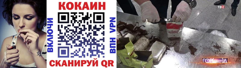 где купить наркоту  Советск  MEGA   Кокаин Fish Scale 