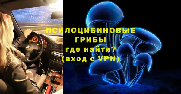 мескалин Арсеньев