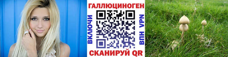 Псилоцибиновые грибы мицелий  Советск 