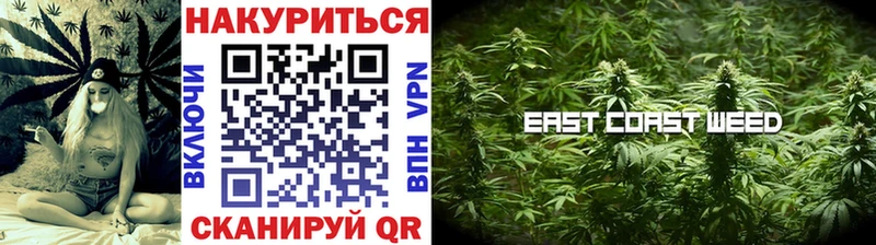 Каннабис сатива  закладки  Советск 